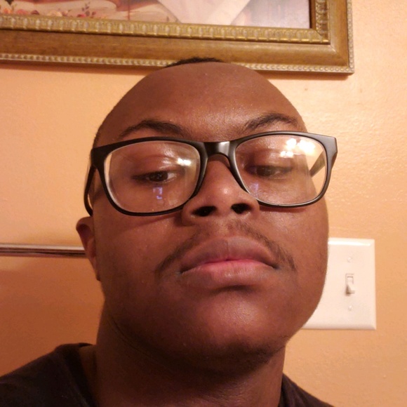 Meet your Posher, Daschaun - Picture 1 of 1